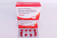 pcd pharma company in gujarat